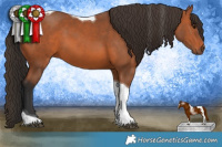 Horse Color:Bay Tobiano 