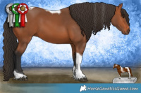 Horse Color:Bay Tobiano 