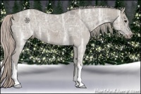 Horse Color:Silver Grullo Ice Tobiano 