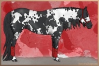 Horse Color:White Spotted Black 
