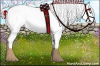 Horse Color:Chocolate Palomino Sabino Appaloosa