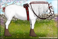 Horse Color:Liver Chestnut Sabino Appaloosa 