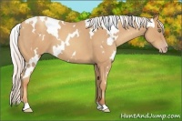 Horse Color:White Spotted Silver Classic Champagne Roan