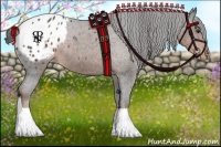 Horse Color:Liver Chestnut Sabino Blanket 