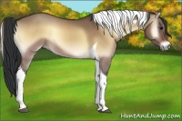 Horse Color:Bay Onyx Sabino Tobiano 