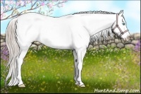 Horse Color:Chocolate Palomino Pearl Tobiano Blanket 