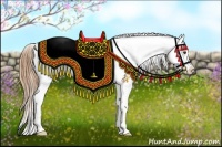 Horse Color:Buckskin Appaloosa