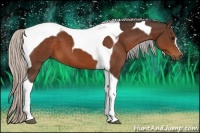 Horse Color:Silver Bay Tobiano