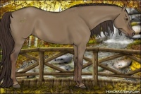 Horse Color:Liver Red Dun 