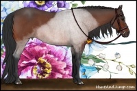 Horse Color:Bay Roan 