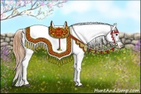 Horse Color:Buckskin Appaloosa 