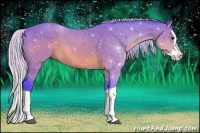 Horse Color:Watercolor Silver Brown Splash