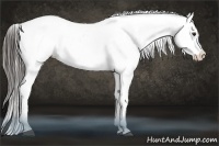 Horse Color:Liver Red Onyx Sabino Appaloosa