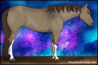 Horse Color:Liver Red Dun 