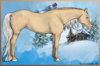 Horse Color:Silver Sable Cream Champagne 