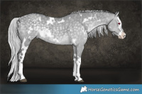 Horse Color:White Spotted Silver Grullo Chinchilla Splash 