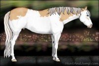 Horse Color:Silver Bay Dun Splash Frame 