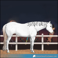 Horse Color:Chestnut Sabino Snowflake Varnish 