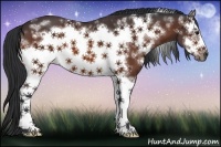 Horse Color:White Spotted Bay Frame 