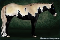Horse Color:Red Onyx Splash Rabicano