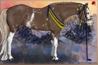 Horse Color:White Spotted Liver Chestnut Splash 