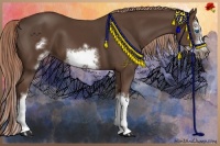 Horse Color:White Spotted Liver Chestnut Splash Frame 