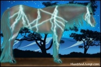 Horse Color:Thunderstruck Smoky Black Appaloosa Rabicano 