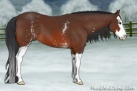 Horse Color:White Spotted Bay Splash