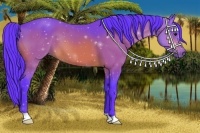 Horse Color:Watercolor Bay 