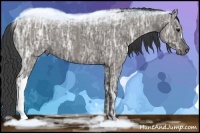 Horse Color:Smoky Grullo Ice 
