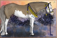 Horse Color:Chocolate Palomino Splash 