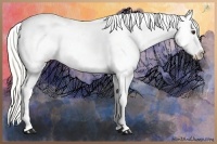 Horse Color:Liver Red Dun Mushroom Varnish