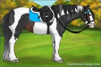 Horse Color:Brown Splash Tobiano 