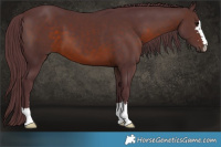 Horse Color:Chocolate Brown 