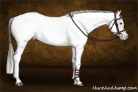 Horse Color:Buckskin Appaloosa Rabicano 