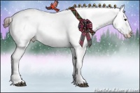 Horse Color:Liver Chestnut Appaloosa 