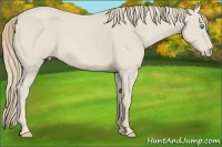 Horse Color:Smoky Creme Roan Sabino