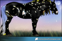 Horse Color:ERROR: UNKNOWN ANOMALY