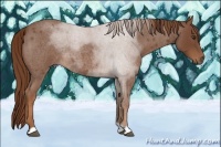Horse Color:Red Roan 