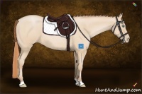 Horse Color:Buckskin Pearl 