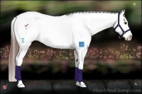 Horse Color:Bay Sabino Tobiano Appaloosa 