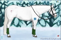 Horse Color:Palomino Sabino Splash Tobiano Varnish 