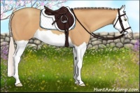 Horse Color:Silver Amber Champagne Splash