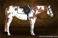 Horse Color:White Spotted Chestnut Splash Frame 