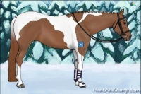 Horse Color:Chestnut Tobiano 