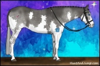 Horse Color:Smoky Black Splash 