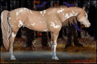 Horse Color:White Spotted Bay Pearl Sabino
