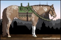 Horse Color:Classic Champagne Tobiano  and Classic Champagne Tobiano 