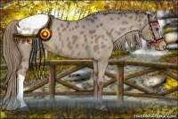 Horse Color:Liver Red Dun Varnish 