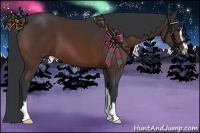 Horse Color:Bay Sabino 